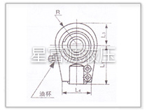 C25、D25系列高壓重型液壓缸